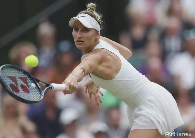 的羽毛球赛 的羽毛球赛