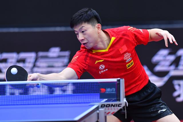 年轻领袖的 年轻领袖的